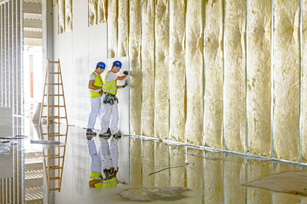 Best Insulation Maintenance and Repair in Bloomingdale, IL